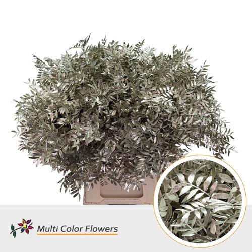 Decoratiegroen kleurbehandeld per bos H%