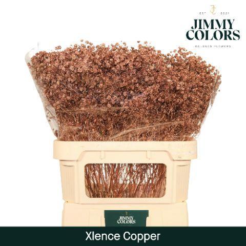 Gypsophila overig kleurbehandeld H%