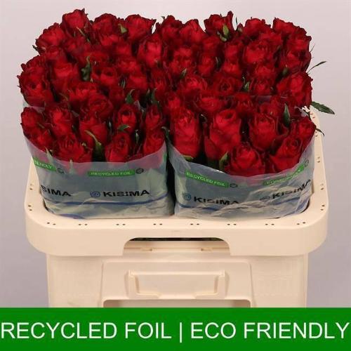 Rosa grootbloemig Madam Red