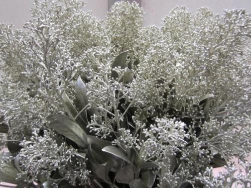 Skimmia per bos overig kleurbehandeld H%