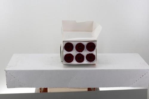 Rosa grootbloemig kleurbehandeld H%