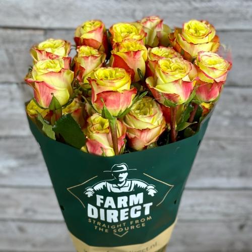 Rosa grootbloemig overig