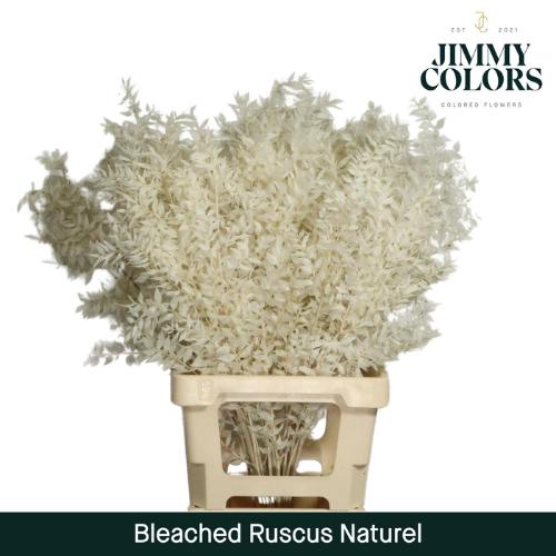 Snijbloemen overig kleurbehandeld H%