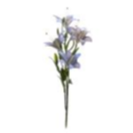 6ff678b6-c4c7-466c-813d-e122c16f6dc0.webp