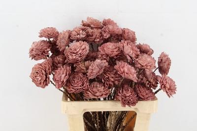 Huis en tuindecoratie overig H%