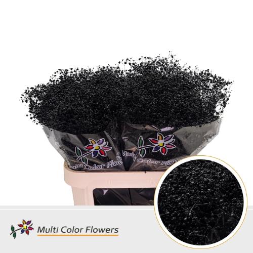 Gypsophila overig kleurbehandeld H%