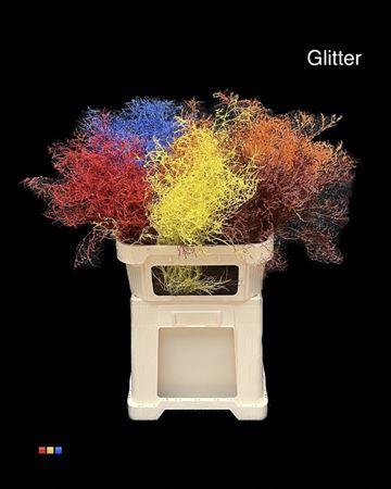 Limonium overig kleurbehandeld H%