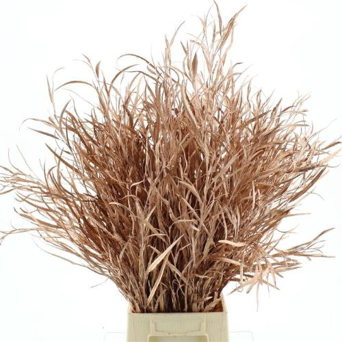 Decoratiegroen kleurbehandeld per bos H%