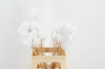 Huis en tuindecoratie overig H%