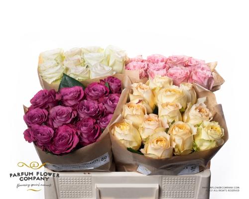 Rosa grootbloemig overig