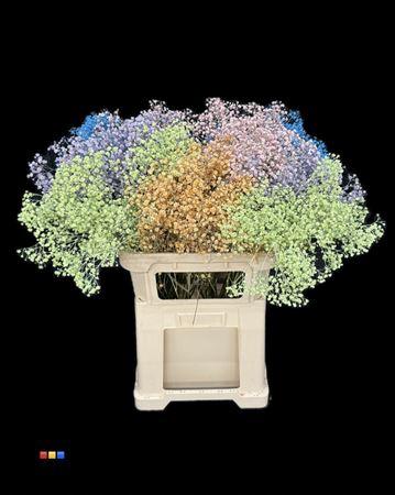 Gypsophila overig kleurbehandeld H%