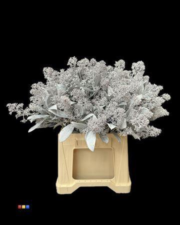 Skimmia per bos overig kleurbehandeld H%