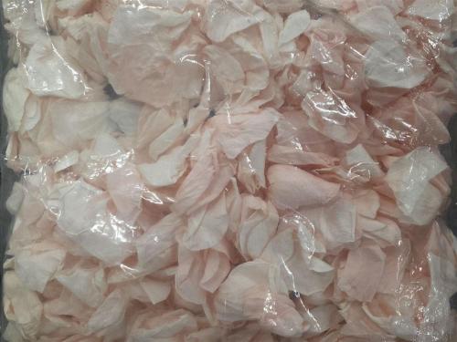 Rosa grootbloemig kleurbehandeld H%