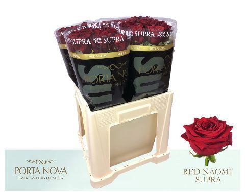 Rosa grootbloemig Red Naomi!