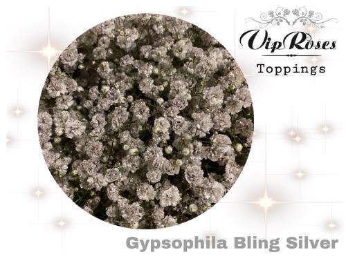 Gypsophila overig kleurbehandeld H%