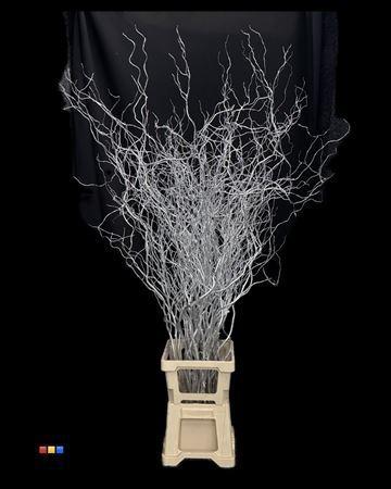 Salix kleurbehandeld H%