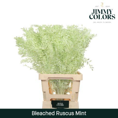 Snijbloemen overig kleurbehandeld H%