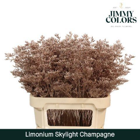 Limonium overig kleurbehandeld H%