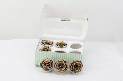 Rosa grootbloemig kleurbehandeld H%