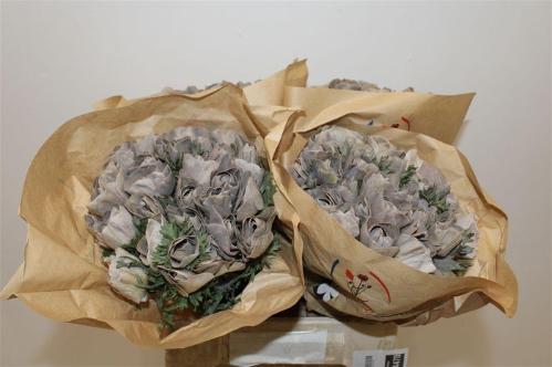 Snijbloemen overig kleurbehandeld H%