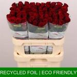 73da6efa-5cf7-4b7a-ad5e-cf6a4ba77b05.jpg