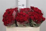 73e7c6b4-b446-43ad-b5b9-76aadd031069.jpg