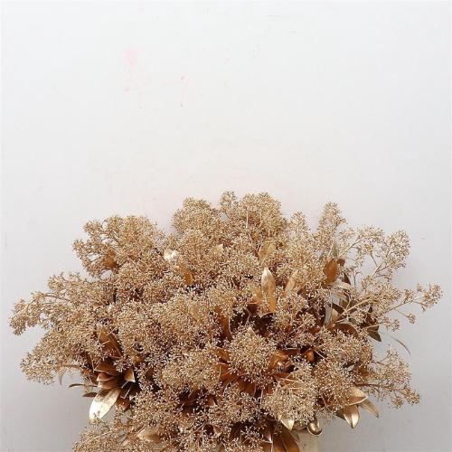 Skimmia per bos overig kleurbehandeld H%