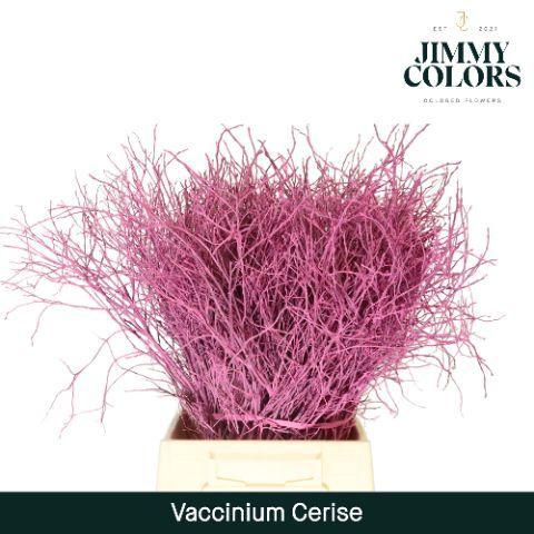 Vaccinium kleurbehandeld H%