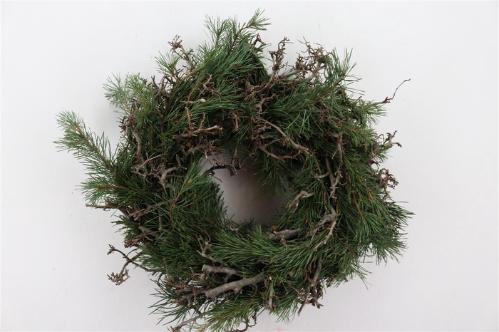 Krans Abies nobilis 6%