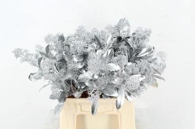 Skimmia per bos overig kleurbehandeld H%