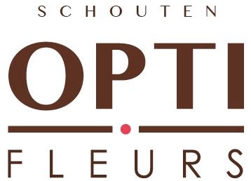 Gerbera grootbloemig gemengd 2 kleuren per doos