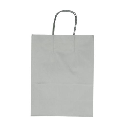 Bags Paper d26/12*35cm