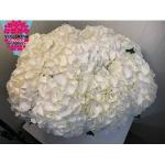 74dd22ed-672d-4f62-8c4c-a5cfc5b428ff.jpg