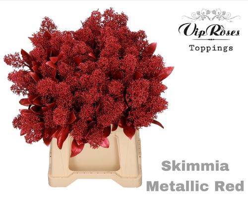 Skimmia per bos overig kleurbehandeld H%