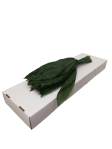 7581359e-ee09-4ccc-b91f-b8cf3e10a04f.png