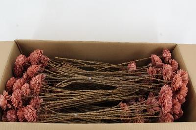 Huis en tuindecoratie overig H%