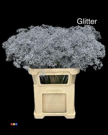 Gypsophila overig kleurbehandeld H%