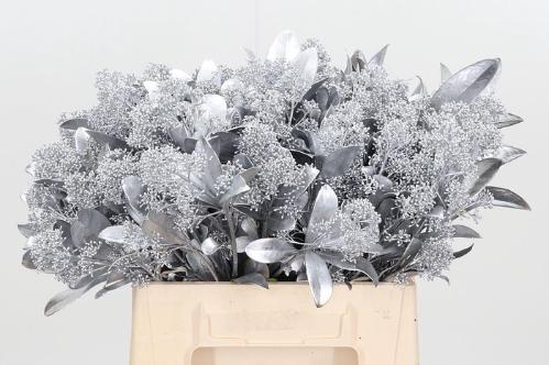 Skimmia per bos overig kleurbehandeld H%