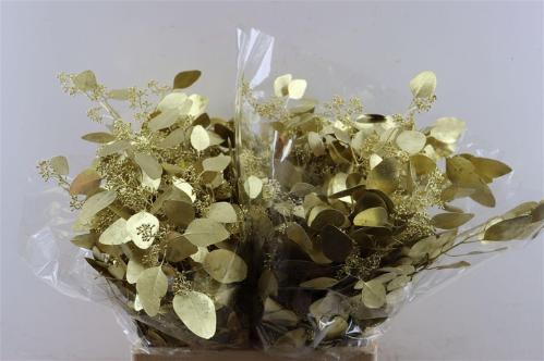 Eucalyptus kleurbehandeld per bos H%