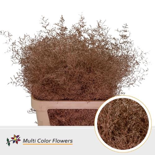 Limonium overig kleurbehandeld H%