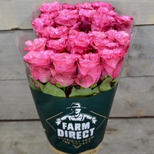 Rosa grootbloemig overig