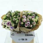 771cdf81-c7e7-44a4-bf45-92cb2fd1e997.jpg