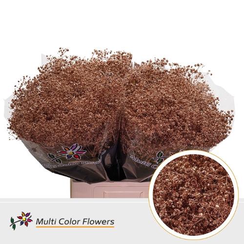 Gypsophila overig kleurbehandeld H%