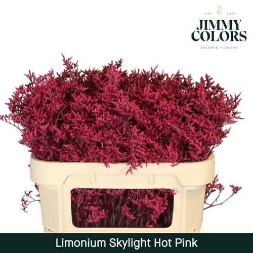 Limonium overig kleurbehandeld H%