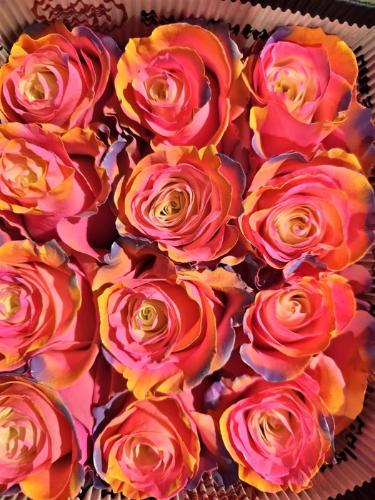 Rosa grootbloemig overig