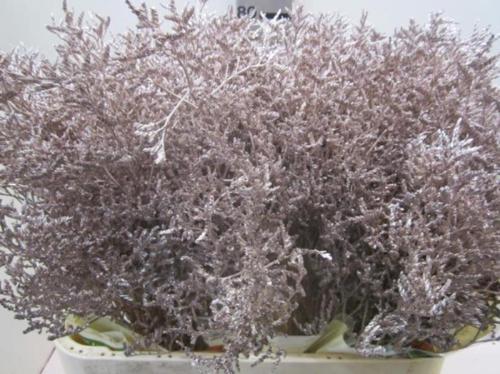 Limonium overig kleurbehandeld H%