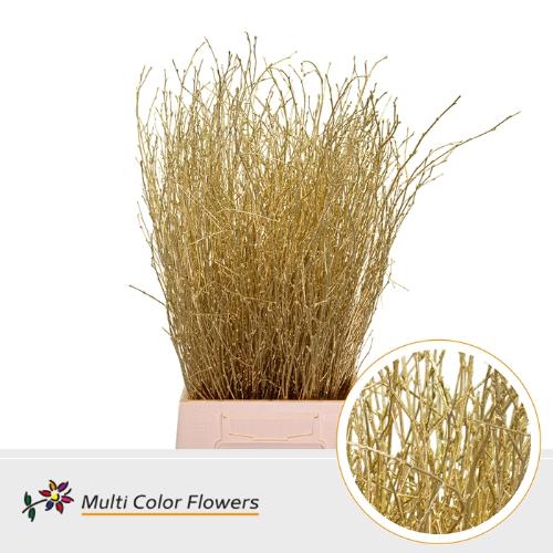 Betula kleurbehandeld H%