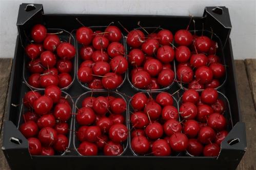 Wax appel H%
