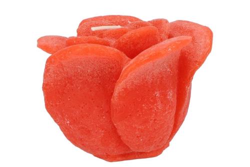 Huis en tuindecoratie overig H%