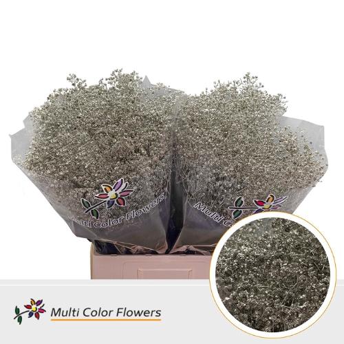 Gypsophila overig kleurbehandeld H%